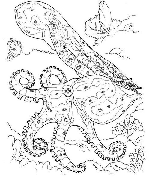 Ocean octopus coloring page