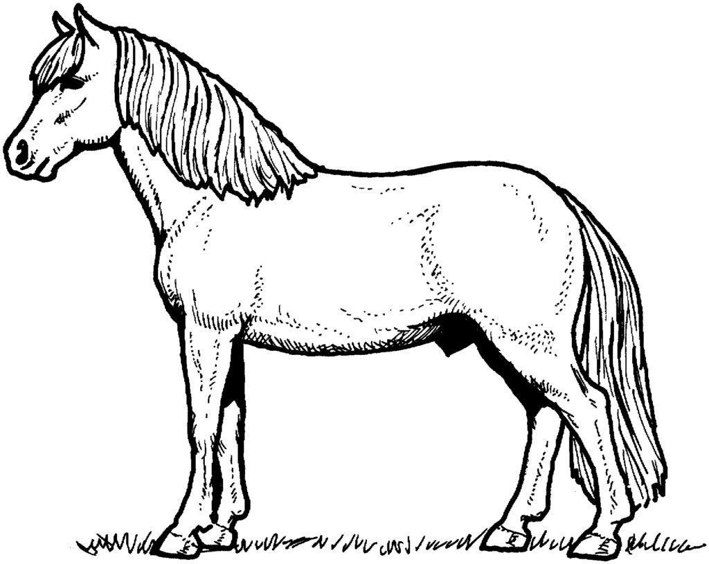online horse coloring pages printable