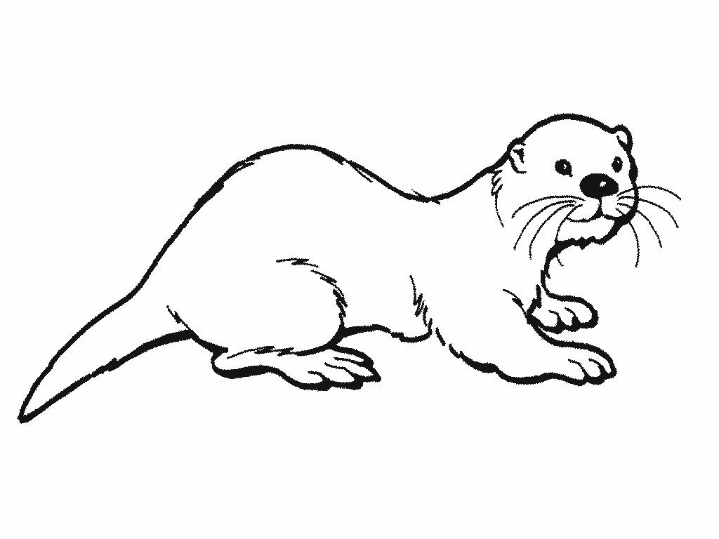 Otter Coloring Page