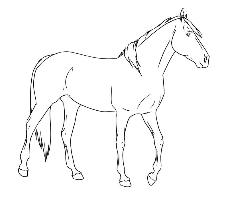 palimino horse coloring pages