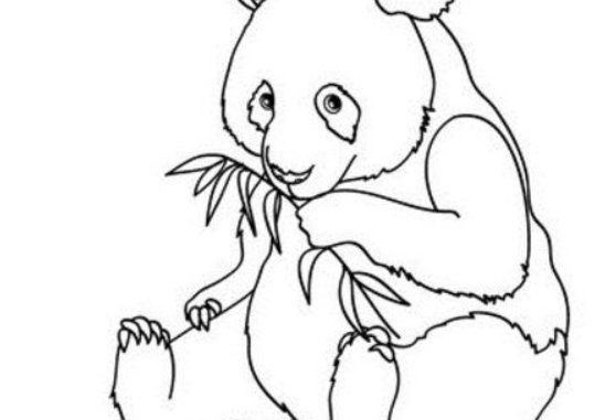 panda coloring page
