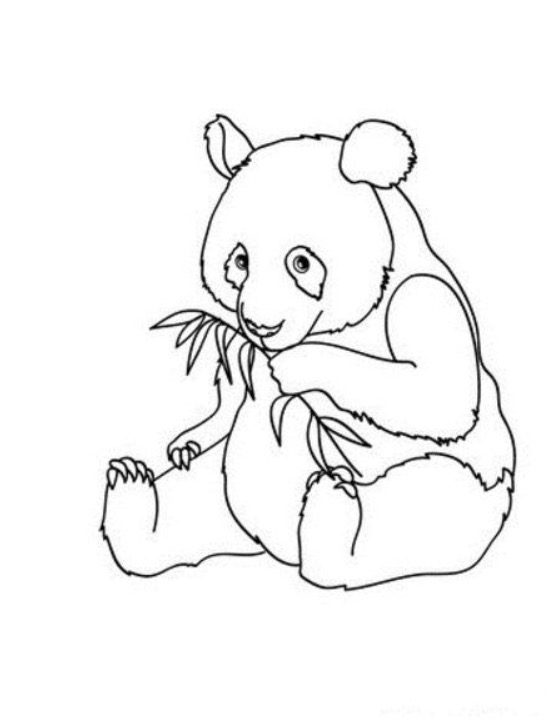 panda coloring page