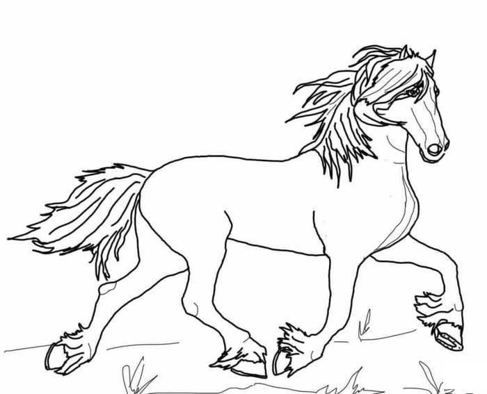 pdf of feathernfeet horse coloring pages