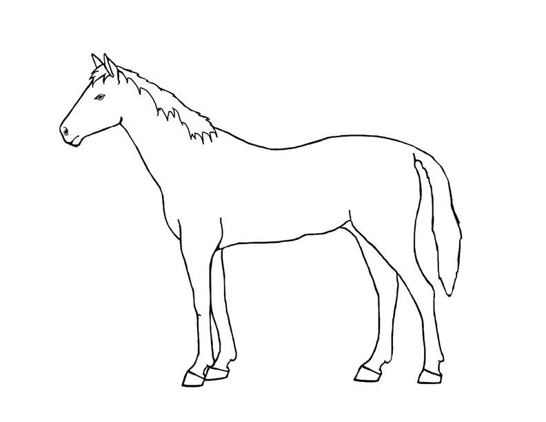 Pdf of Horse Coloring Pages