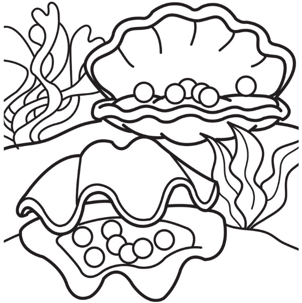 pearl oysters coloring page