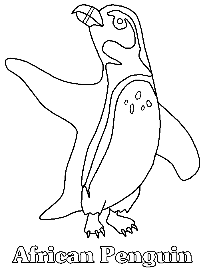 Free Penguin Coloring Pages