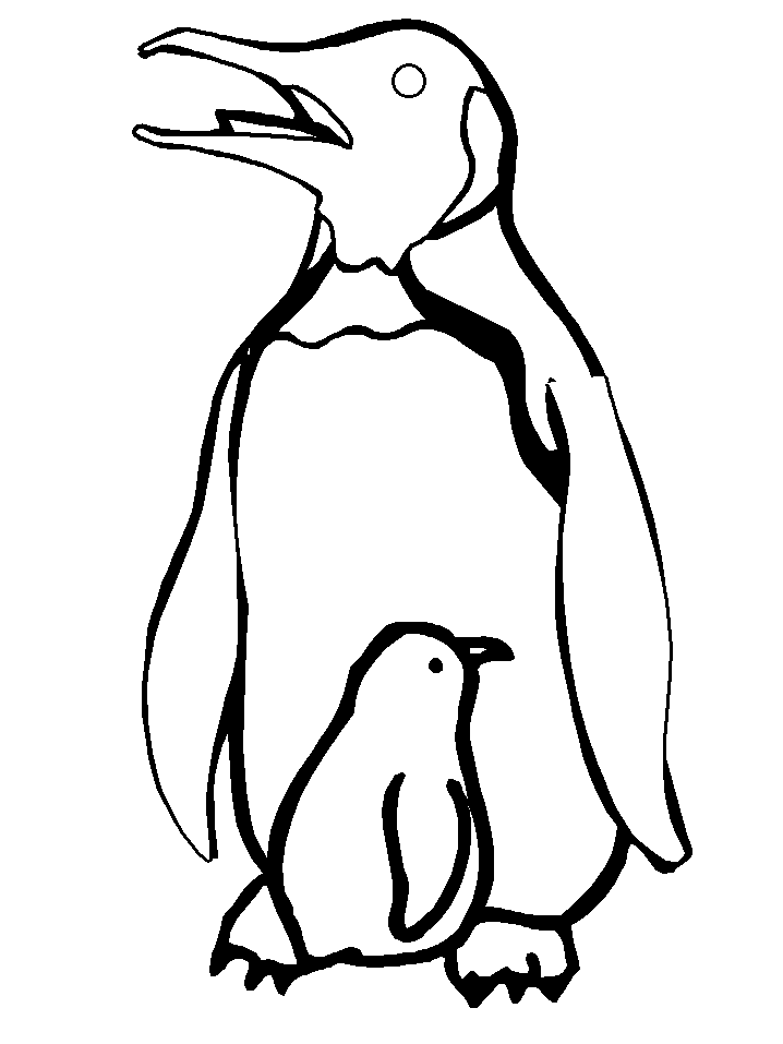 Penguins Coloring Pages