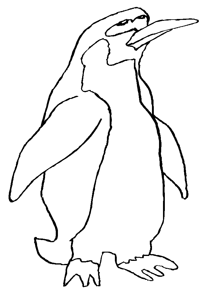 Penguin Coloring Pages for Adults