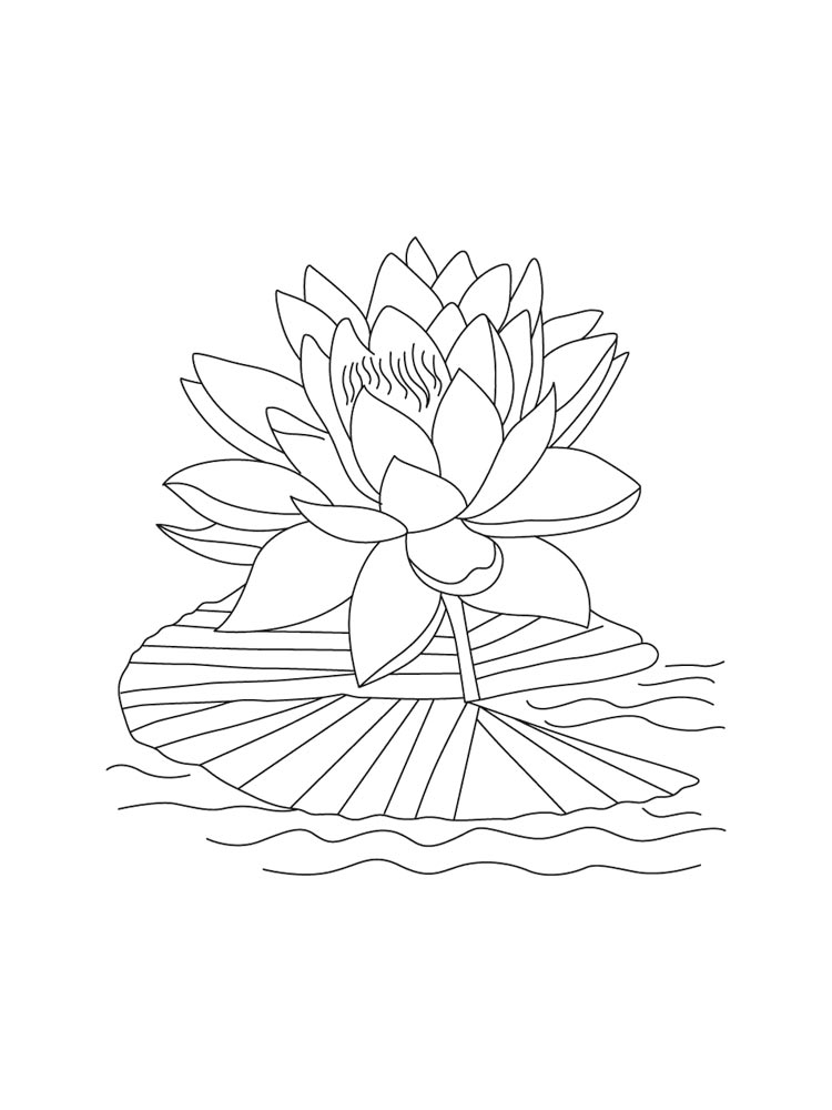 pisces flower water lily coloring pages
