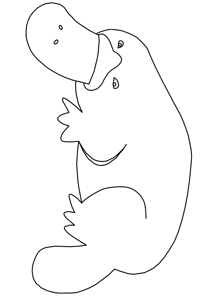 Download Platypus2 Animals Coloring Pages coloring page & book for kids.