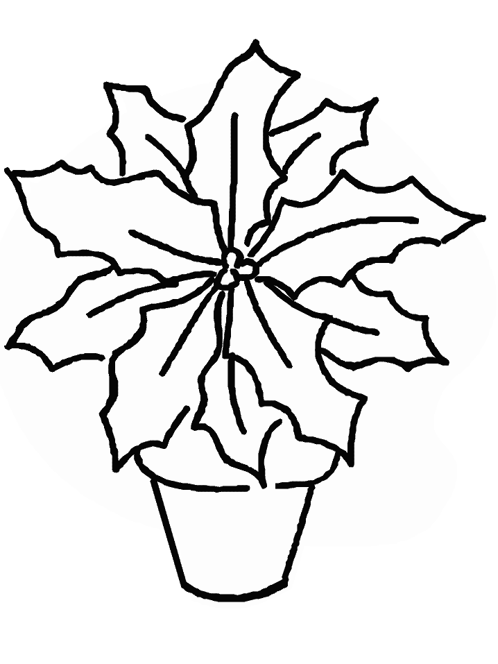 Poinsettia Coloring Pages Free