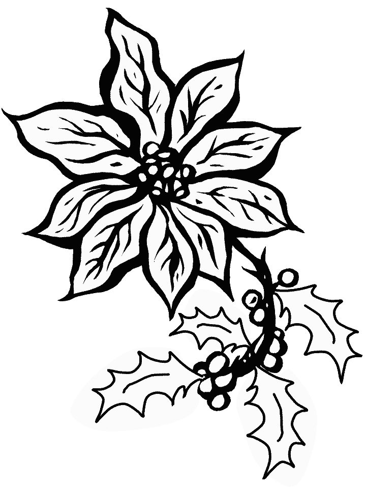 Poinsettia Coloring Pages Printable