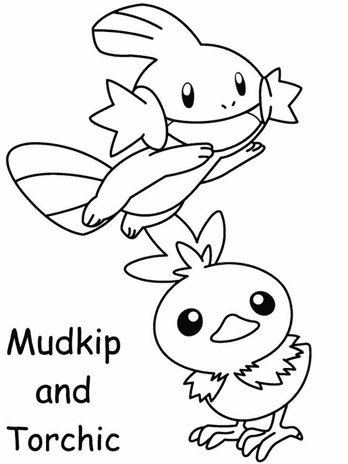 Mudkip And Torchic Coloring Pages
