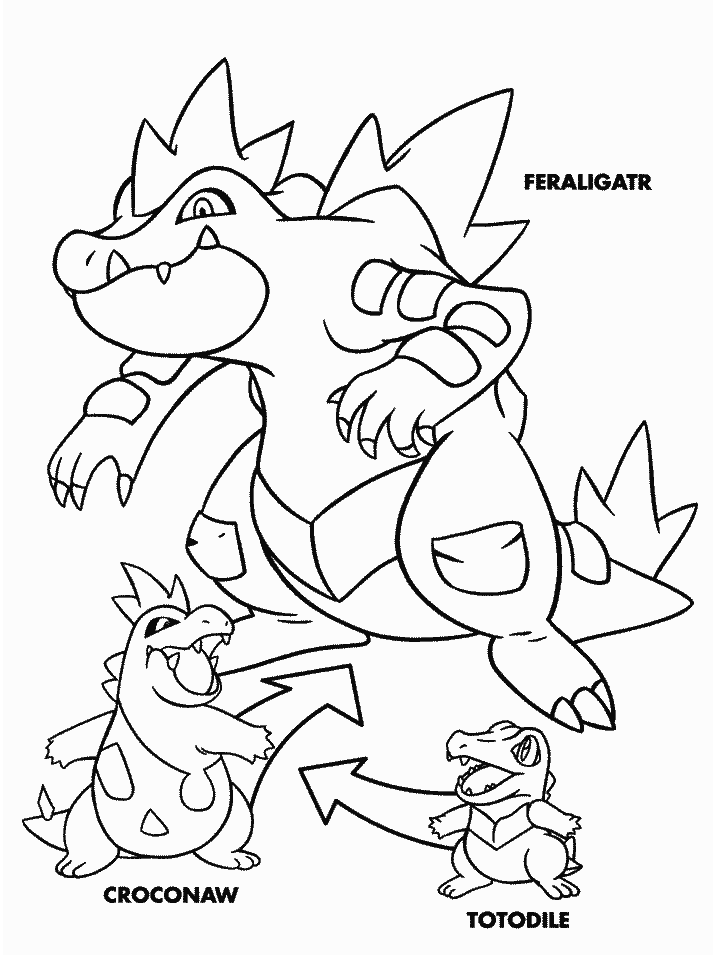 Totodile to Croconaw to Feraligatr