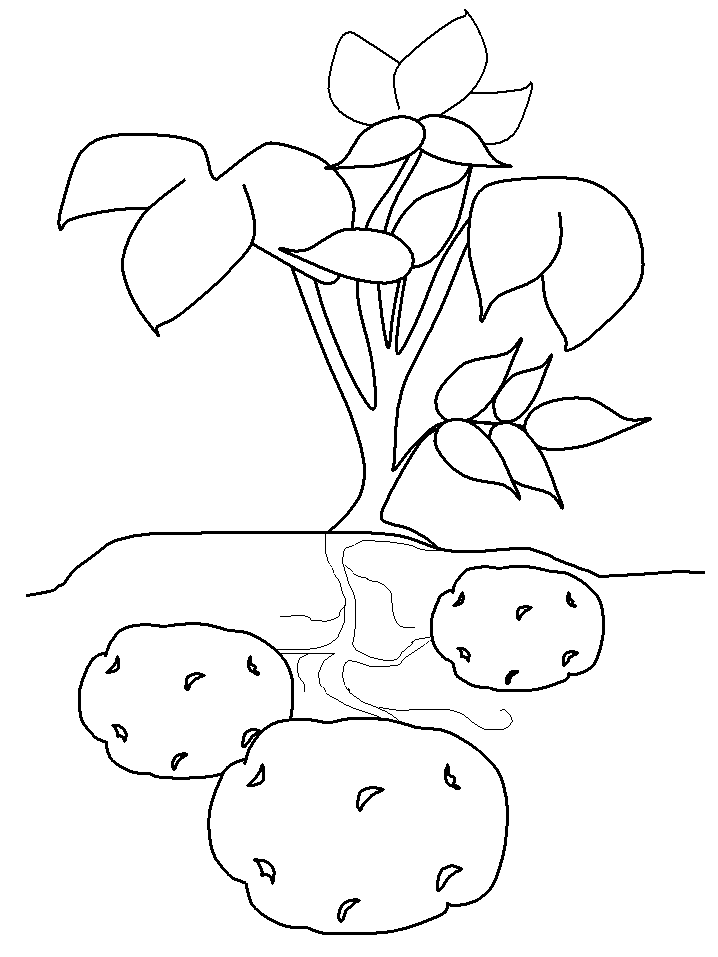 Poland Potato Countries Coloring Pages For Kids