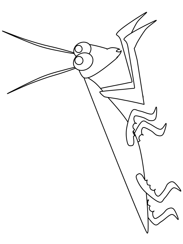 Praying Mantis Animals Coloring Pages