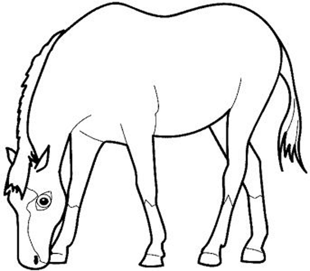 pregnant horse coloring pages