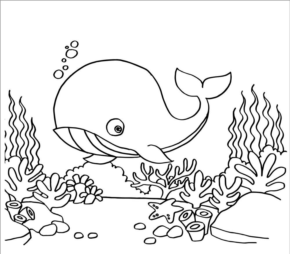 preschool coloring pages water