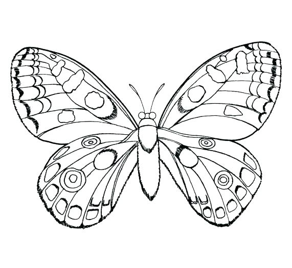 Preschool Insect Coloring Pages