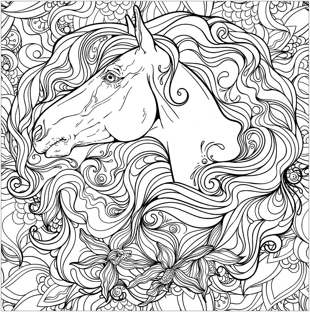 pretty horse horse coloring pages for adults