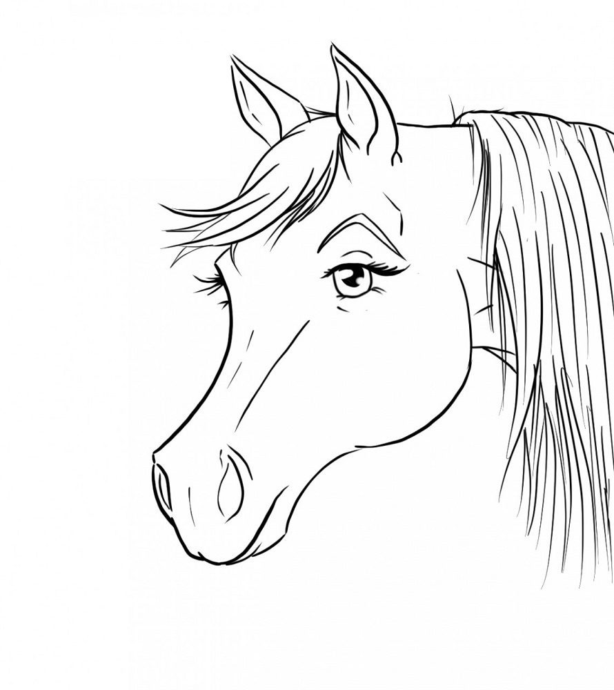 Pretty Horse Horse Head Coloring Pages