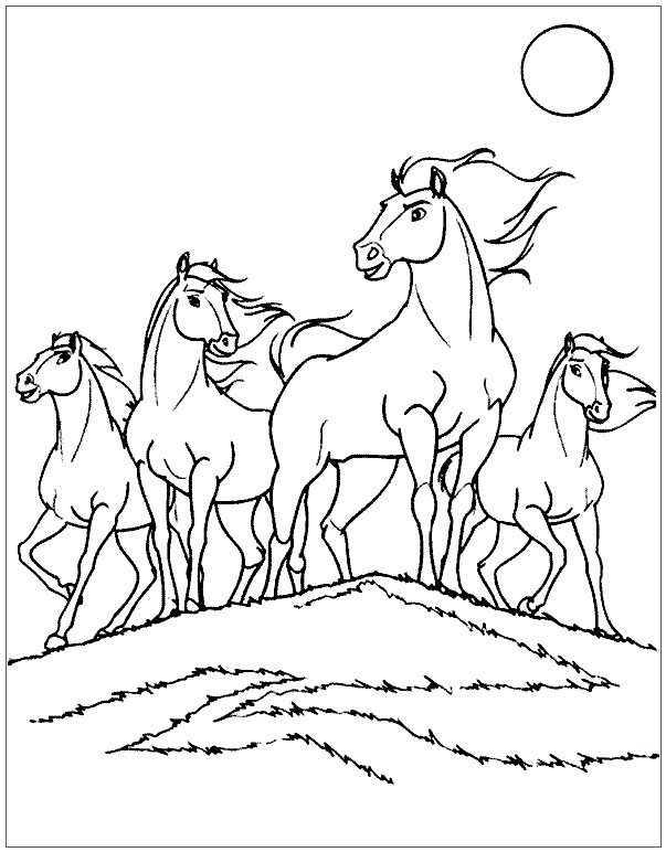 pretty horse wild horse coloring pages