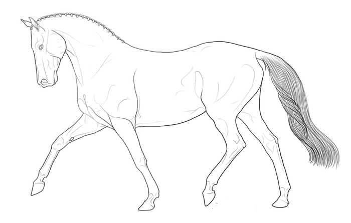 printable breyer horse coloring pages