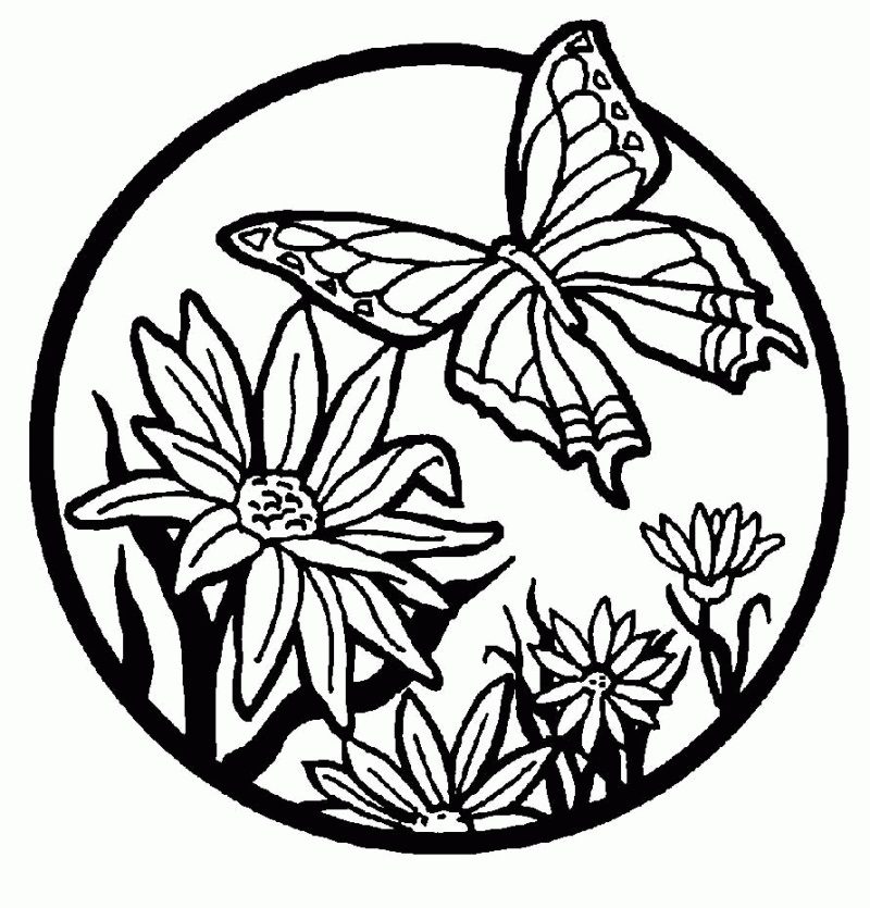 printable butterfly and flower coloring pages