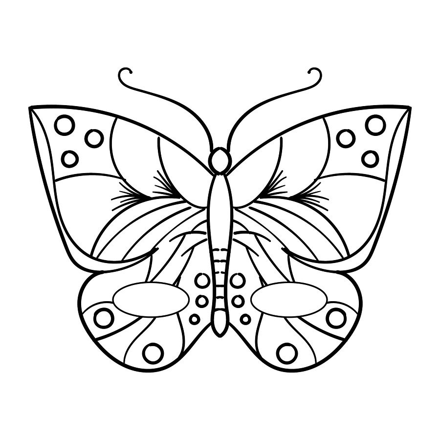 printable butterfly coloring pages
