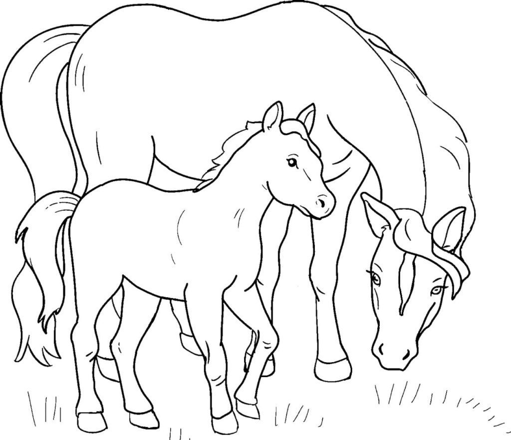 printable coloring baby horse foal with its mom pages