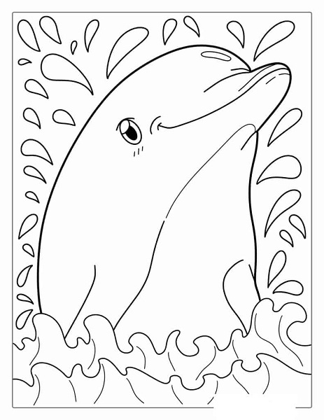 Printable Coloring Pages Dolphins