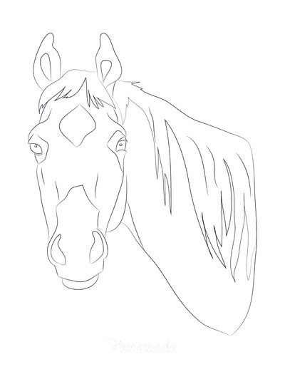 printable coloring pages of a horse head