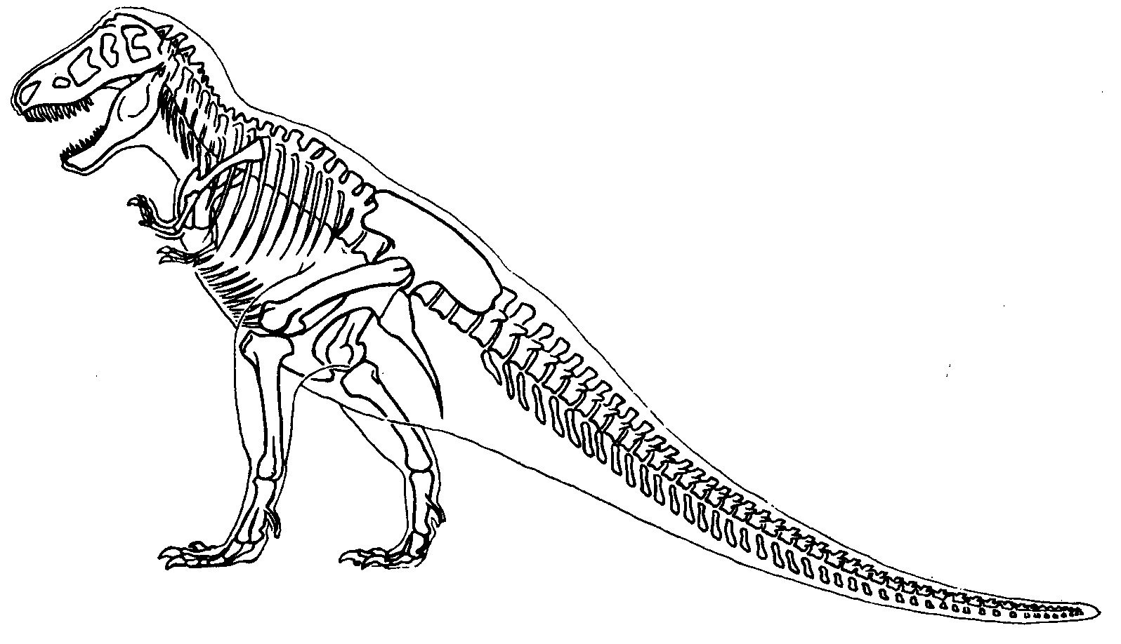 printable dinosaur fossil coloring pages