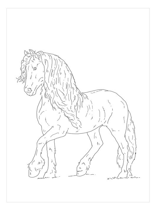 printable friesian horse coloring pages