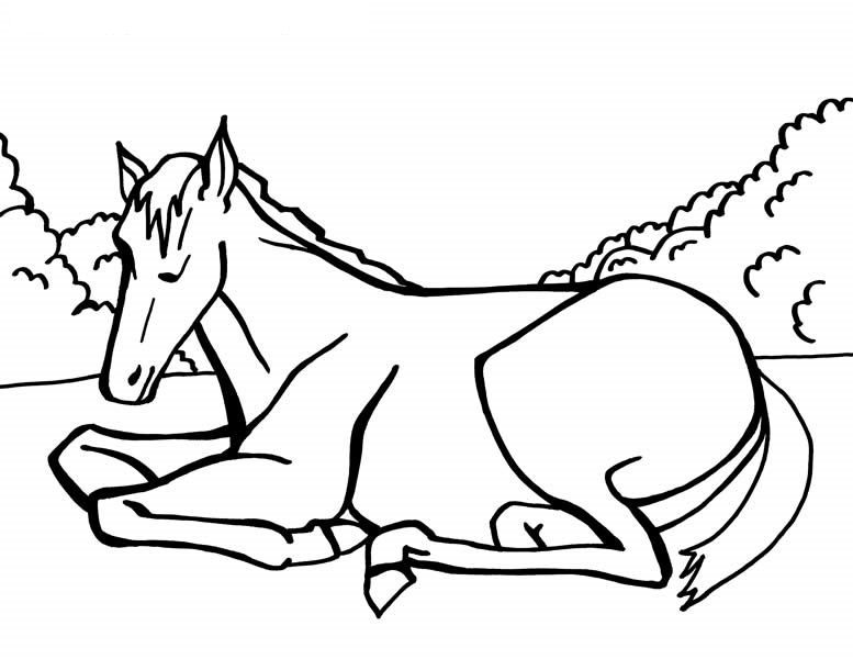 printable-horse-coloring-pages