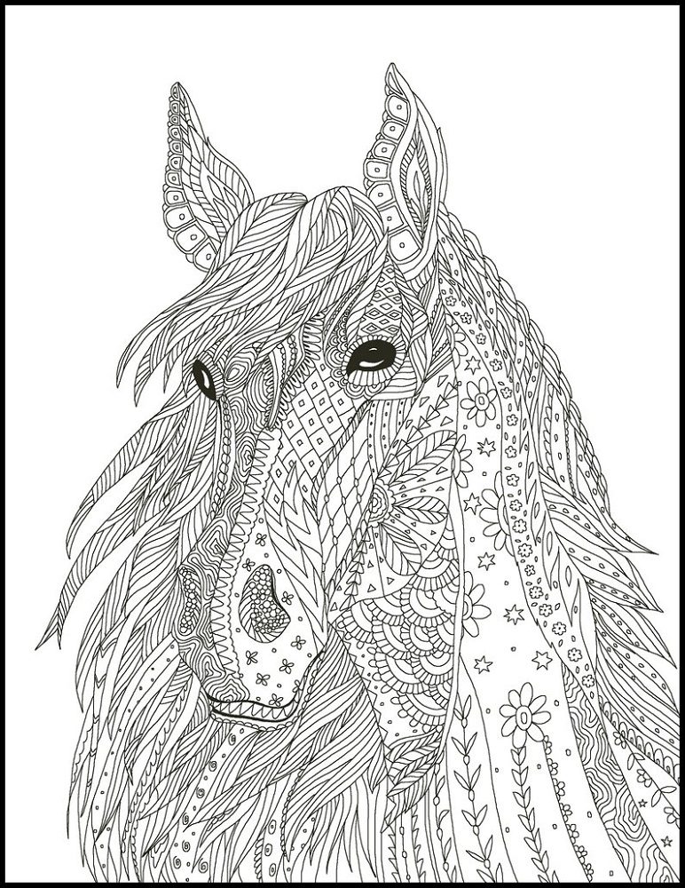 printable horse coloring pages for adults