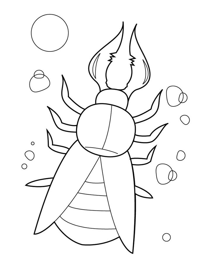 Printable Insect Coloring Pages