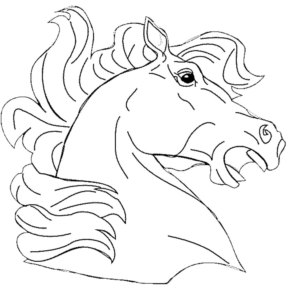 printable realistic horse head coloring pages