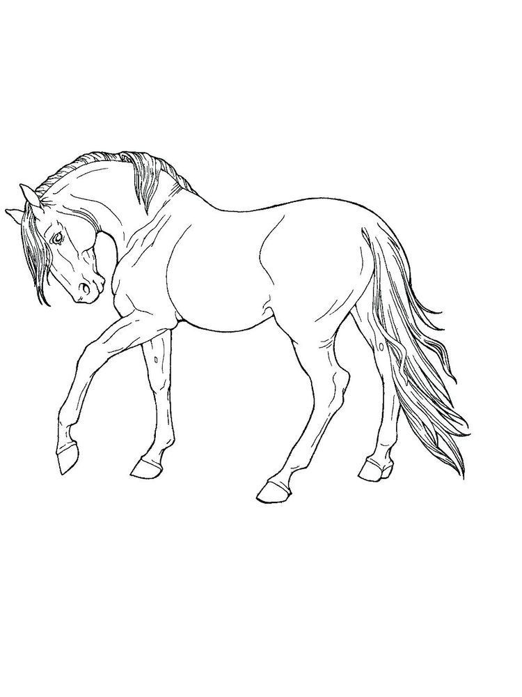 printable wild horse coloring pages