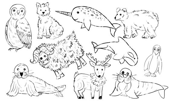 printable winter animals coloring pages