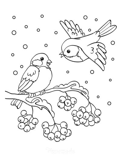 printable-winter-berries-coloring-pages