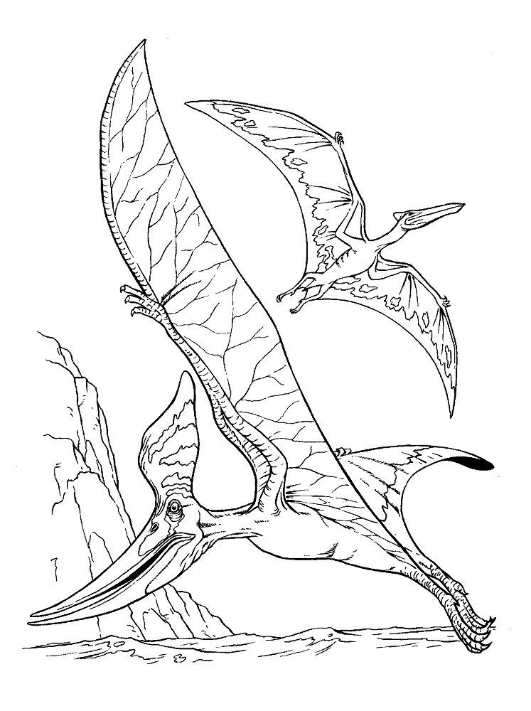 pterodactyl dinosaur coloring pages