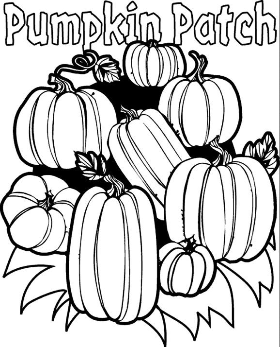 Pumpkin Patch coloring page