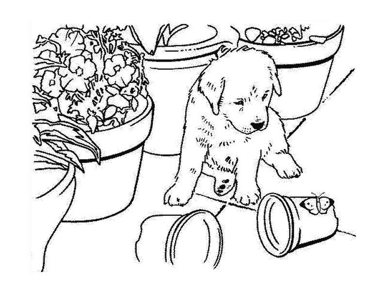 puppy coloring pages printable