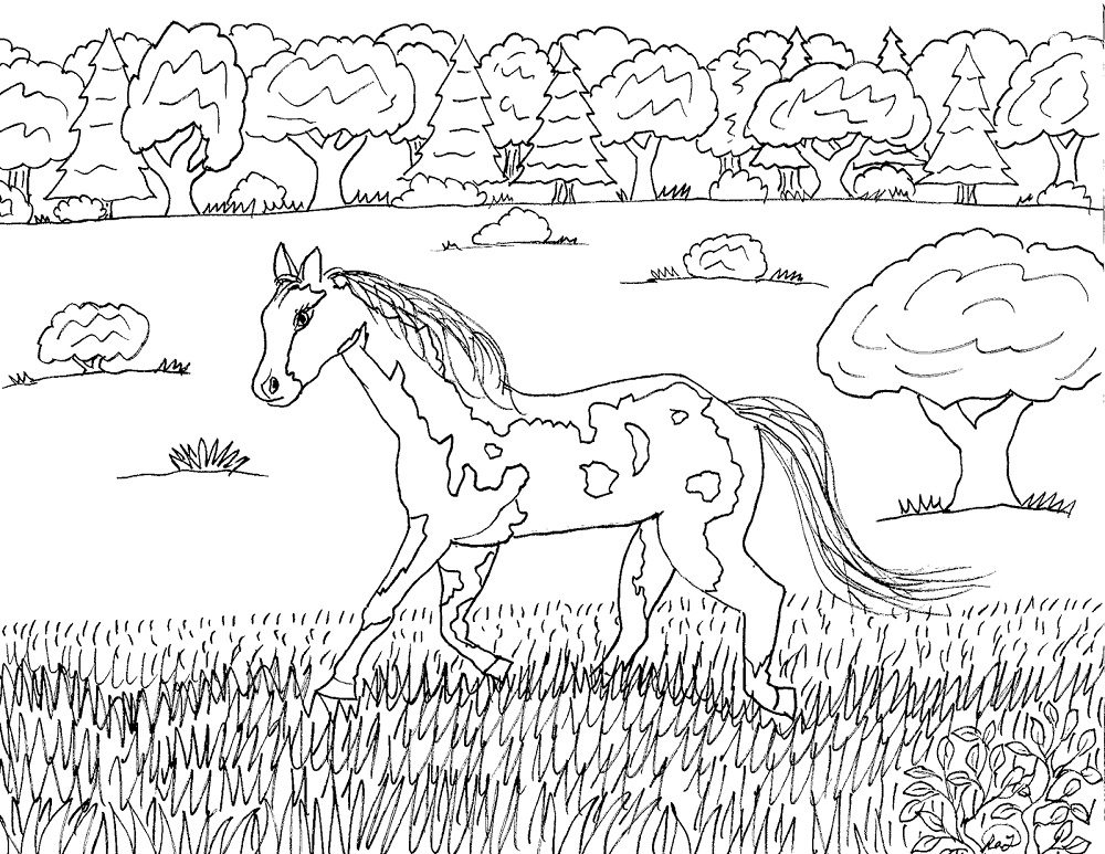 quarter horse coloring pages