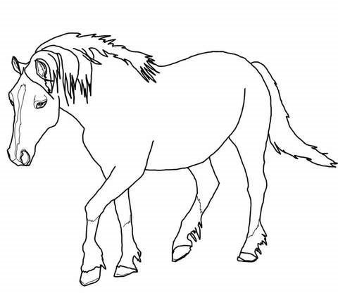 quarter horse paint coloring pages