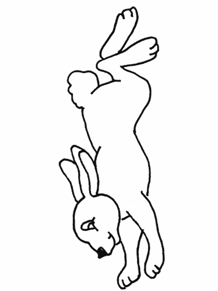 Bunny Rabbit Coloring Pages