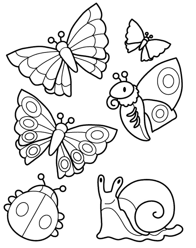 Rainforest Insects Coloring Pages