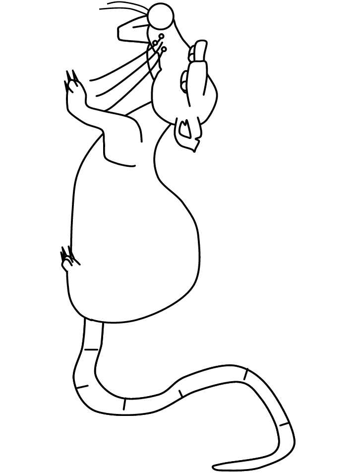 Rat Coloring Pages