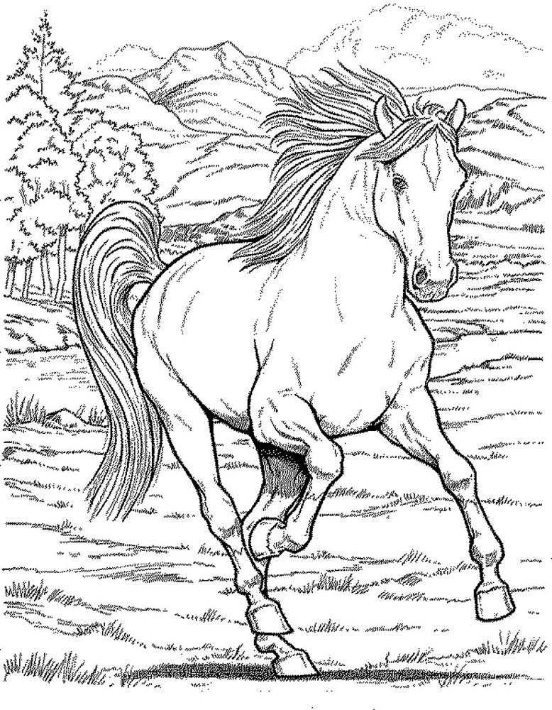 real horse coloring pages